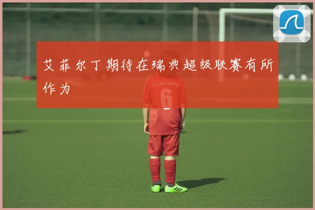 艾菲尔丁期待在瑞典超级联赛有所作为
